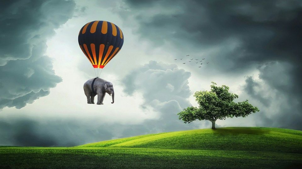 elephant-3458033_1280