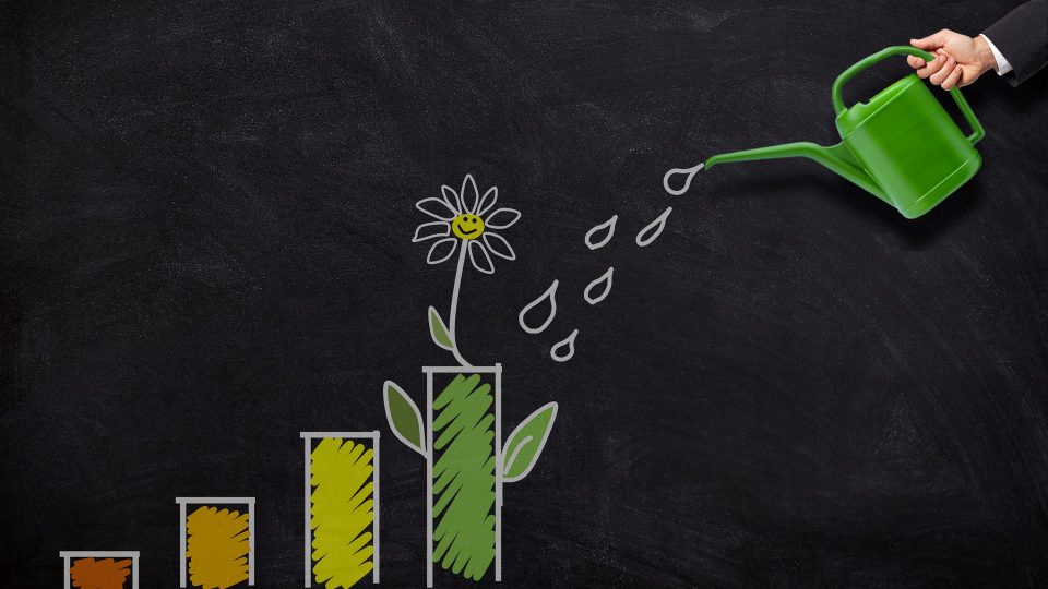 increase your profit margins